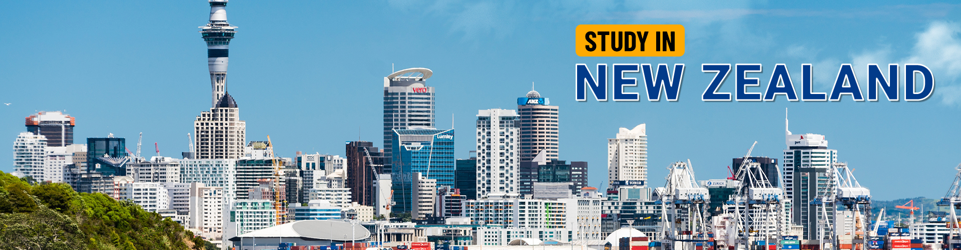 Study in New Zealand Consultants in Ahmedabad | Study Abroad Experts – Reyna Overseas