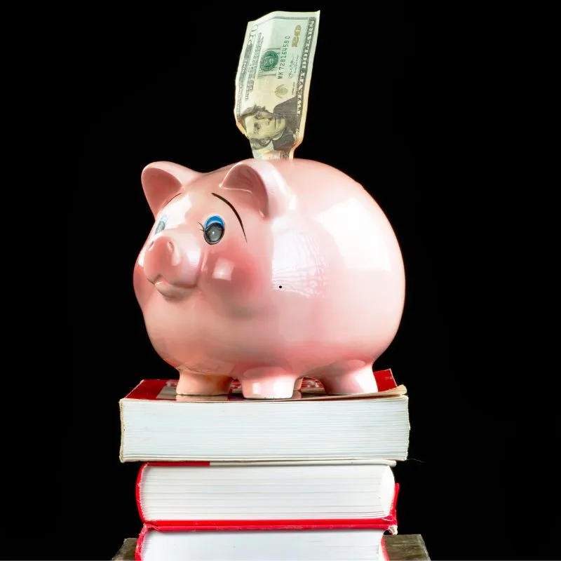 Bachelors Study Cost